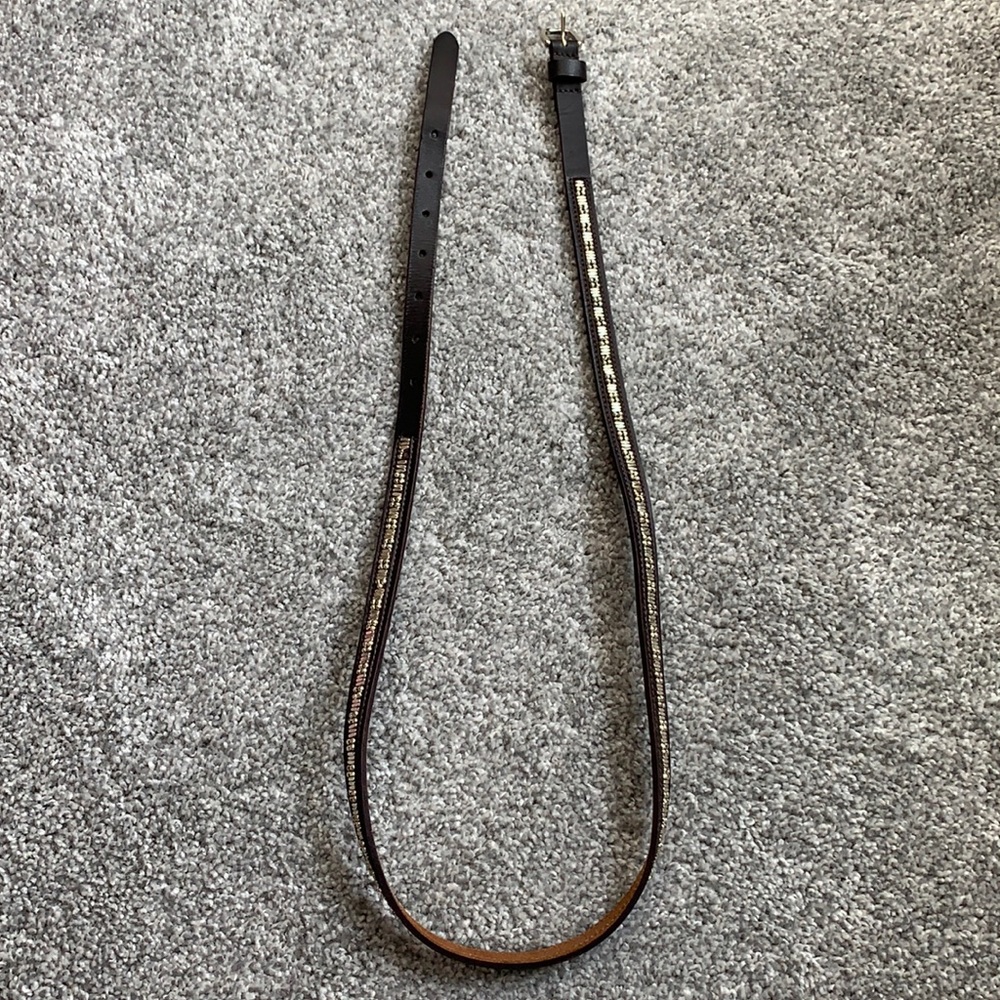American Eagle Belt